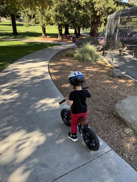 Little Explorer on Wheels