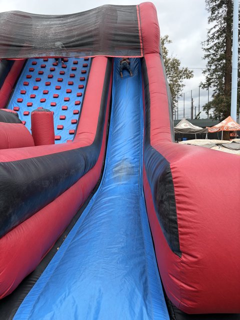 Slide into Fun