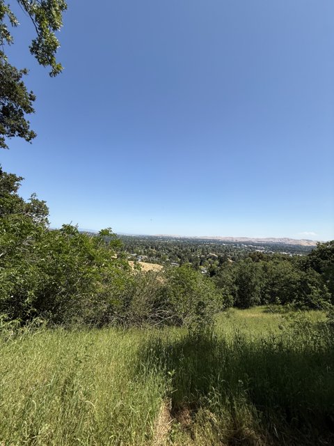Serenity in Walnut Creek