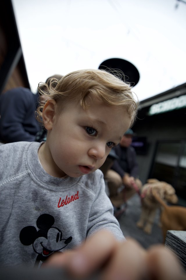 Curious Toddler at Disneyland in Mickey Mouse Shirt