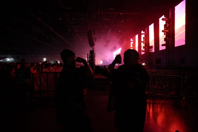 Silhouettes Electrify the Dance Floor at Wobbleland