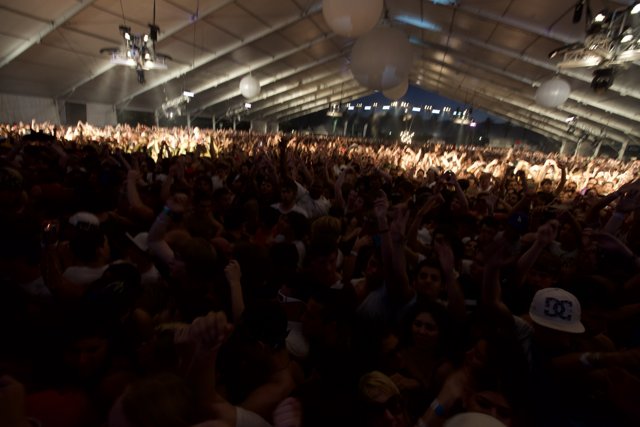 Euphoric Crowd at Coachella 2009