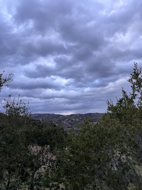 Cloudy Carmel Hillside in Late Autumn