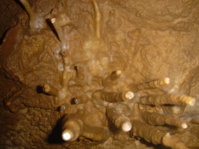 Stick-Studded Cave