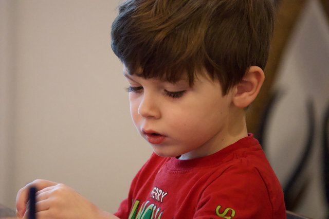 Young Boy Concentrating in Red Christmas Shirt