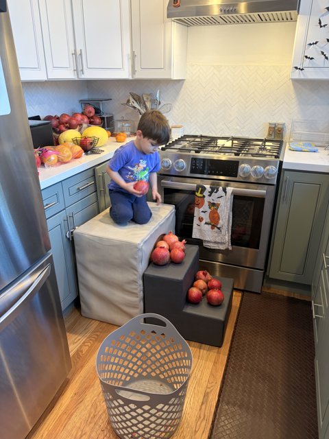 Little Chef's Adventure