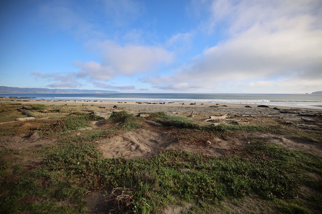 Coastal Dunes and Beach at Drakes Beach