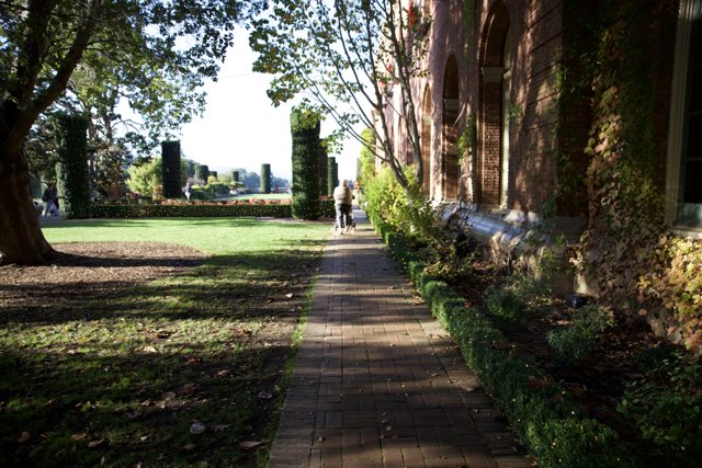 Autumn Walk at Thistlewyck