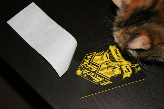 Curious Cat and the Sticker on the Table
