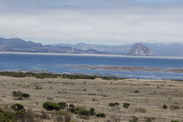 Coastal Serenity in Cayucos