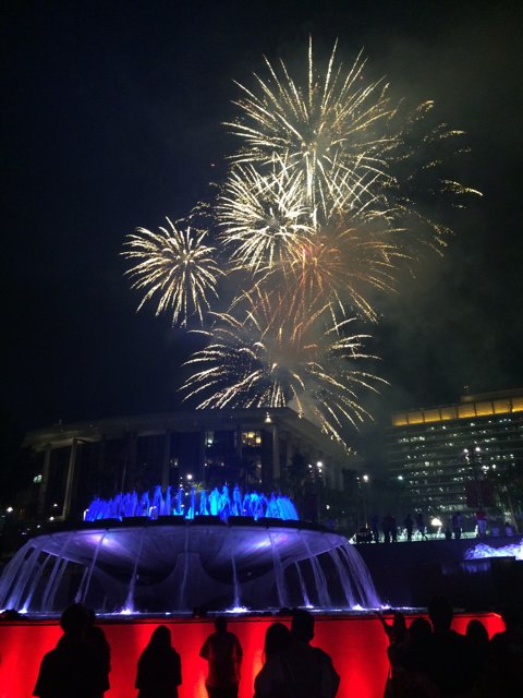 Fireworks over the Fountain