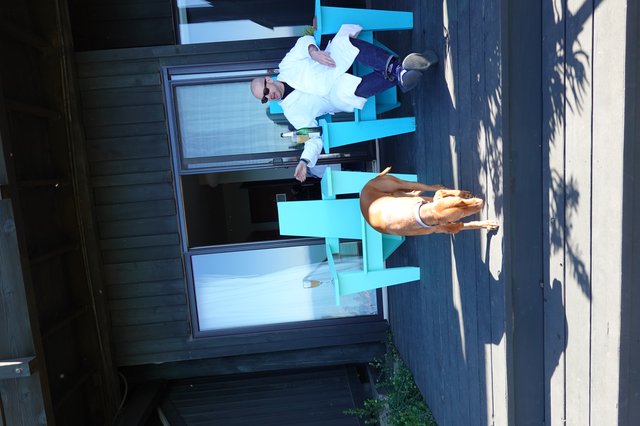 Relaxing on Deck with Faithful Dog Companion