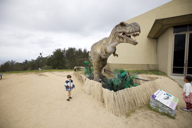 Children Explore Life-Size T-Rex Dinosaur Display at Museum