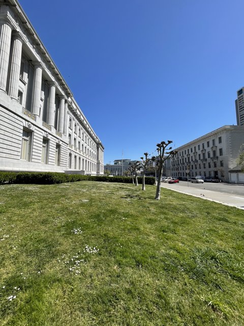 The Urban Oasis of San Francisco City Hall