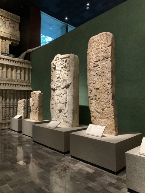 Stone Statues on Display at the Museum