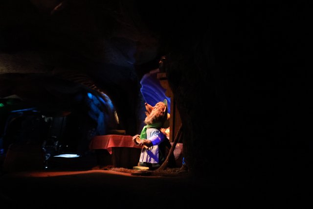The Dark Side of Disneyland Magic Kingdom