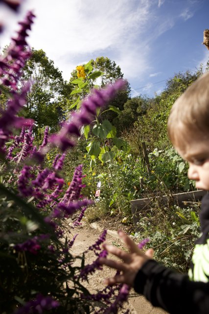 A Child's Curiosity in San Francisco's Mystic Garden