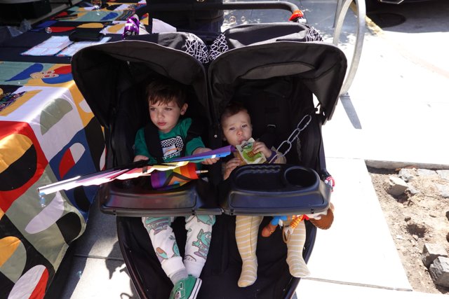 Stroller Adventures in the Sun