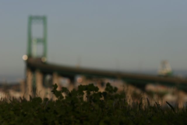 Blurry Urban Bridge with Green Handrail