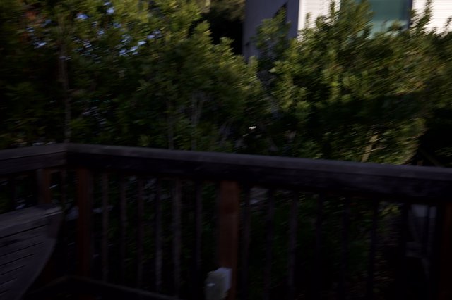 Motion Blur Through Trees from Wooden Deck Railing
