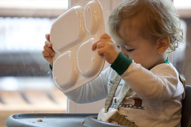 Toddler Exploring with Divided Plate at Mealtime
