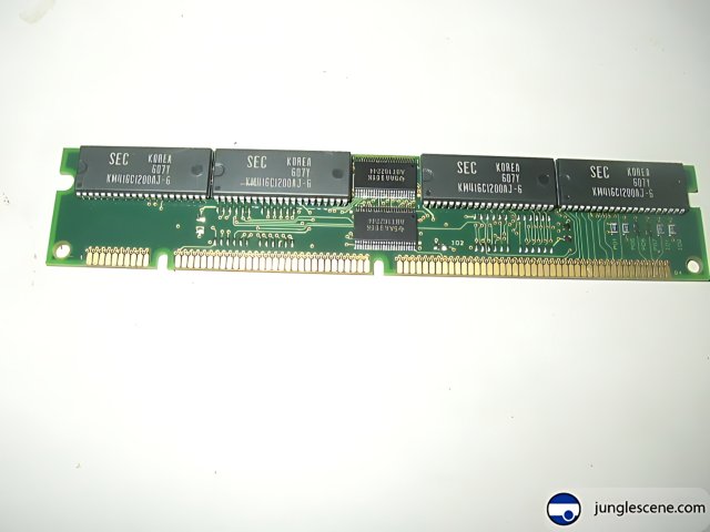 Vintage Memory Module with Four Chips