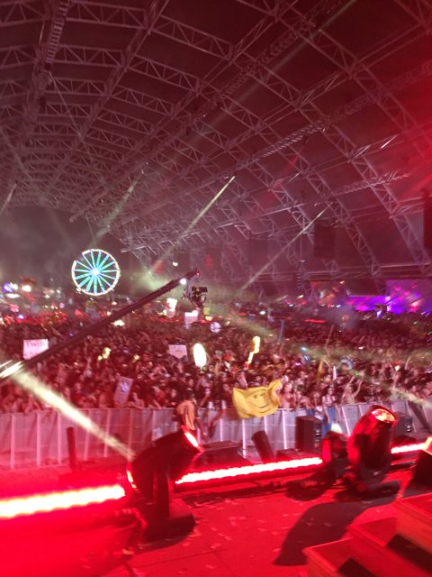 Electric Crowd at Night Performance