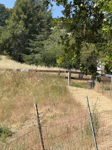 Tranquil Trails of Walnut Creek