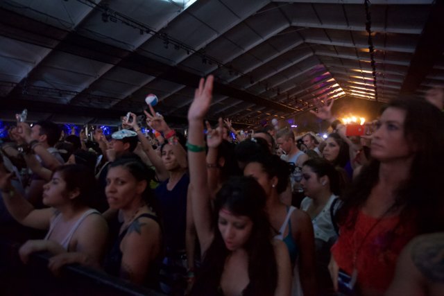 Coachella 2012: The Ultimate Party Crowd