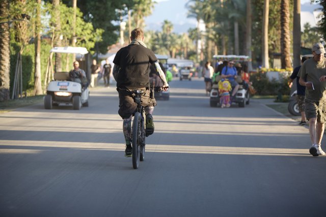 Biking Through Palm-Lined Streets