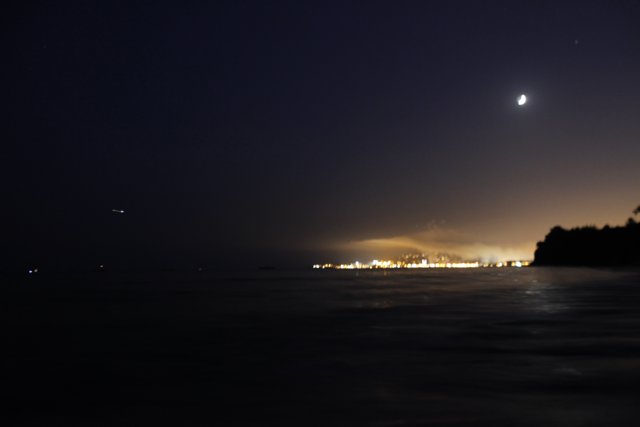 Moonlit Night Over the Ocean