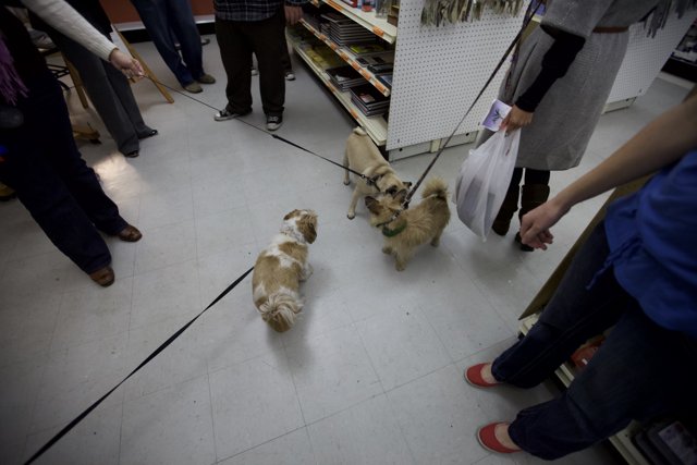 Shopping with Furry Friends