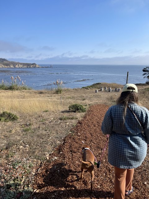Coastal stroll with a furry friend