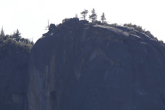 Granite Dome Summit with Pine Trees in Yosemite