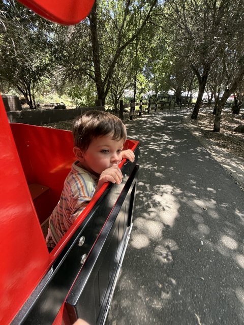 Joyride Through the Grove