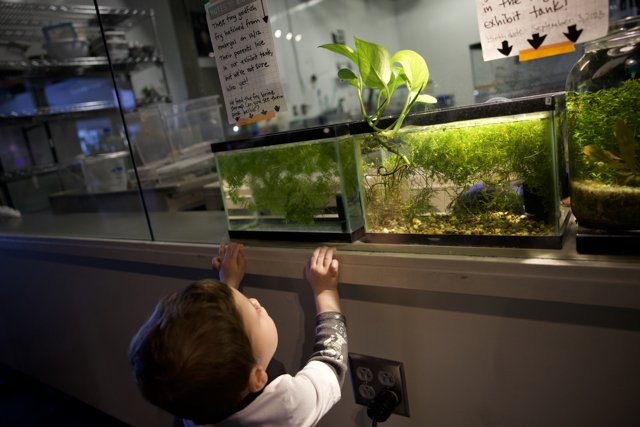 Young Explorer at the Aquarium