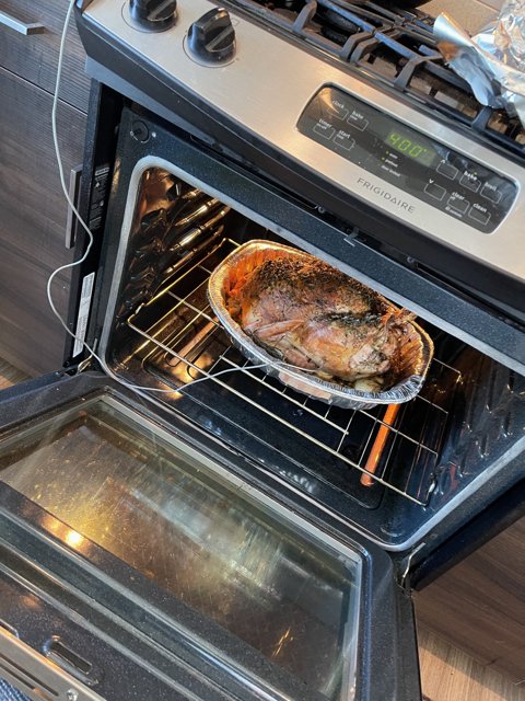 Roasting the Perfect Turkey