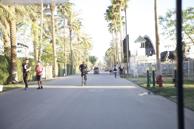 Urban Cycling in the Park