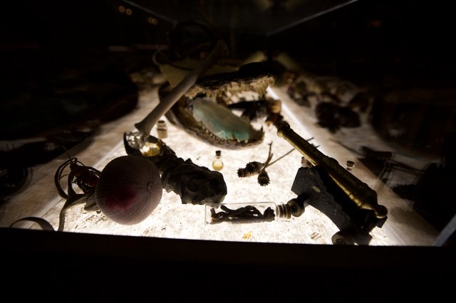 Illuminated Archaeological Artifacts and Natural Specimens Display