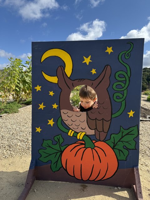 Peek-a-Boo in the Pumpkin Patch