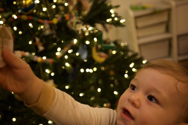 Baby's First Christmas Tree Wonder and Delight
