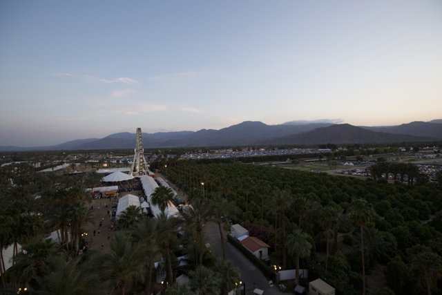 Aerial View of Palm Trees and Mountains at Coachella