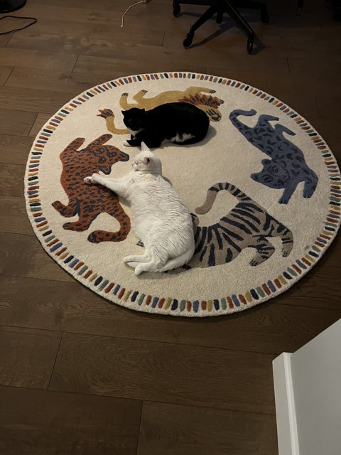 Feline & Fido's Cozy Rug Rest