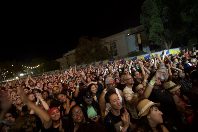 Electric Vibes at the FYF Bullock 2015 Concert