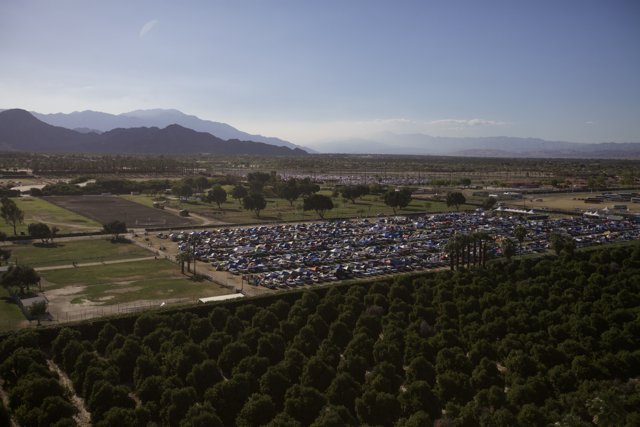 Aerial View of Coachella Parking Lot with Trees