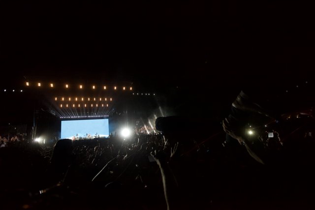 Illuminated Crowd