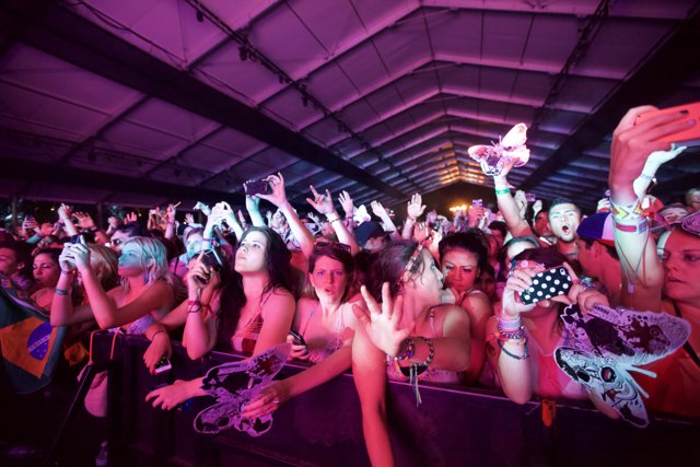 Partygoers at Coachella Music Festival