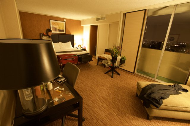 Cozy Hotel Room