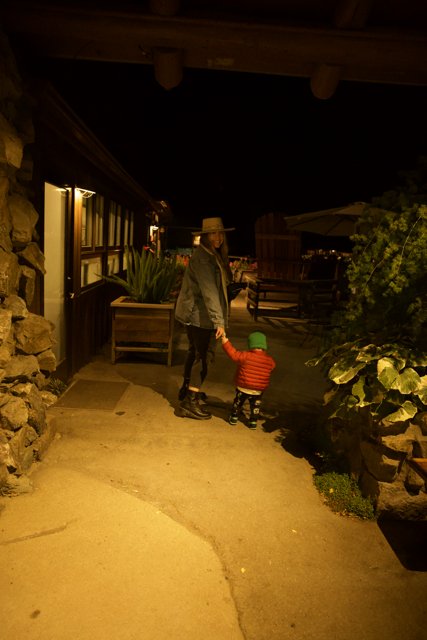 A Nighttime Journey in Big Sur