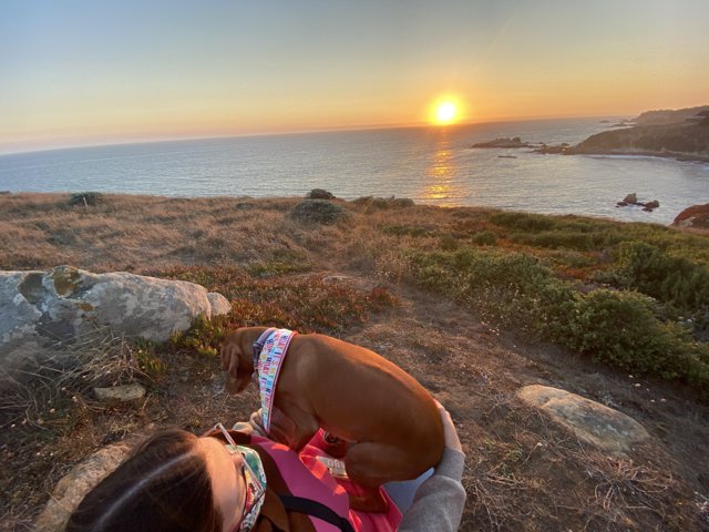 Watching the Sunset with My Best Friend